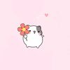 cherry.24___