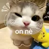cuboodzs1tg