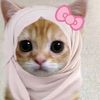 sadiafreen_