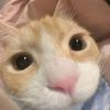 user548mfy5jle