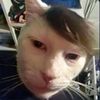 asdmon6