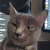 evanhrose