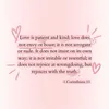 theyluv.livia