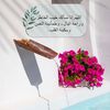user51842029