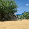 duong_dung16