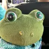 chunkythefrog