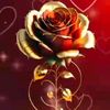 6783548163755tyuioy