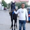 احمدابومصطفى537