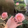 quyennguyen0210