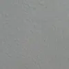 salam123_cicak