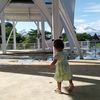 widyadinara