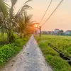 colorful10000