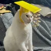fandi_px
