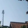 black_pingkiy