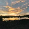 tanchacle
