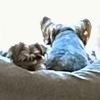 christopherboling7