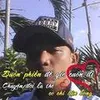 hoahongden32