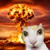 defiaup0