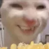 g_abethecookie