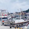 nguyentrungnguye5