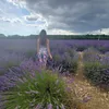 roxane_8313