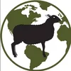 WorldAroundEwe