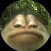 saritaamgg