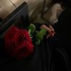 zainab7575p0