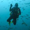 scubastevecalifornia