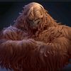 squatch75