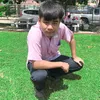 mod_niphon