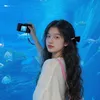 dilys__520