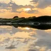 noxut_55