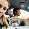 iddologodskaya