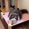 kuekitto