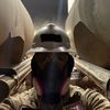txtrucker01