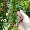 Tâm An Vạn Sự An 🍀