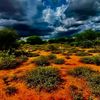 muhiyidin.ali.abdi
