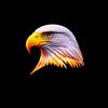 mukhlis14848