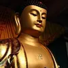 nhan8888880