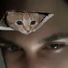 pyyp4