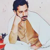 nds_sami