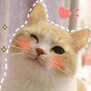 ninysweety