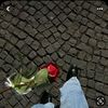 lam_a.l