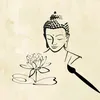 bodhi.2025