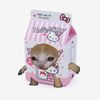 momoneymolitty