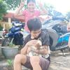 doanhunghp