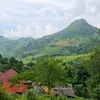 canmanhcuong1008