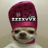 zzzxvvx