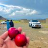 fahad_khan__01